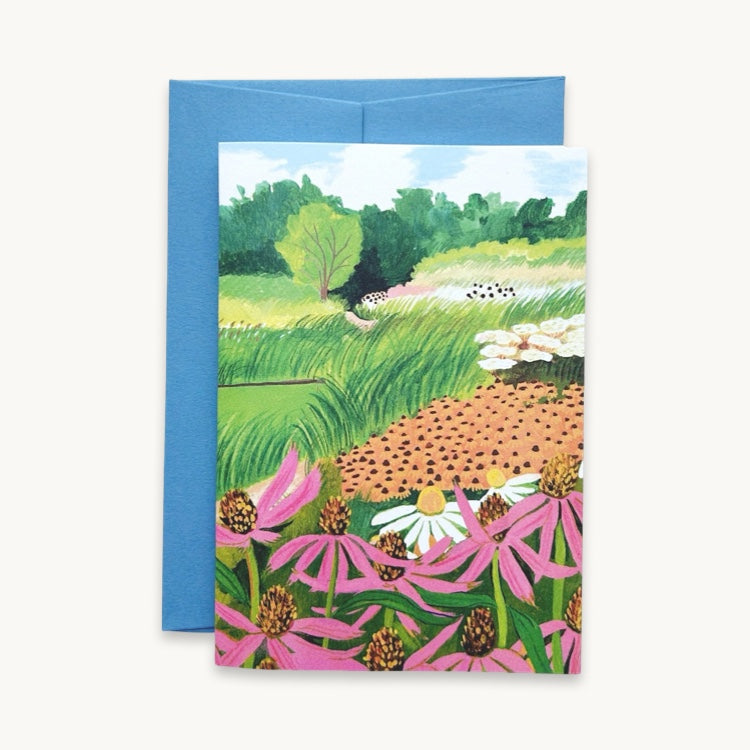 Echinacea flowers and grasses in the wind - card by Kate Cronk