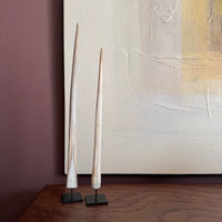 A pair of swordfish bills (horns), designed to be displayed on a table or desk, and full of character, showcasing nature's own beauty.