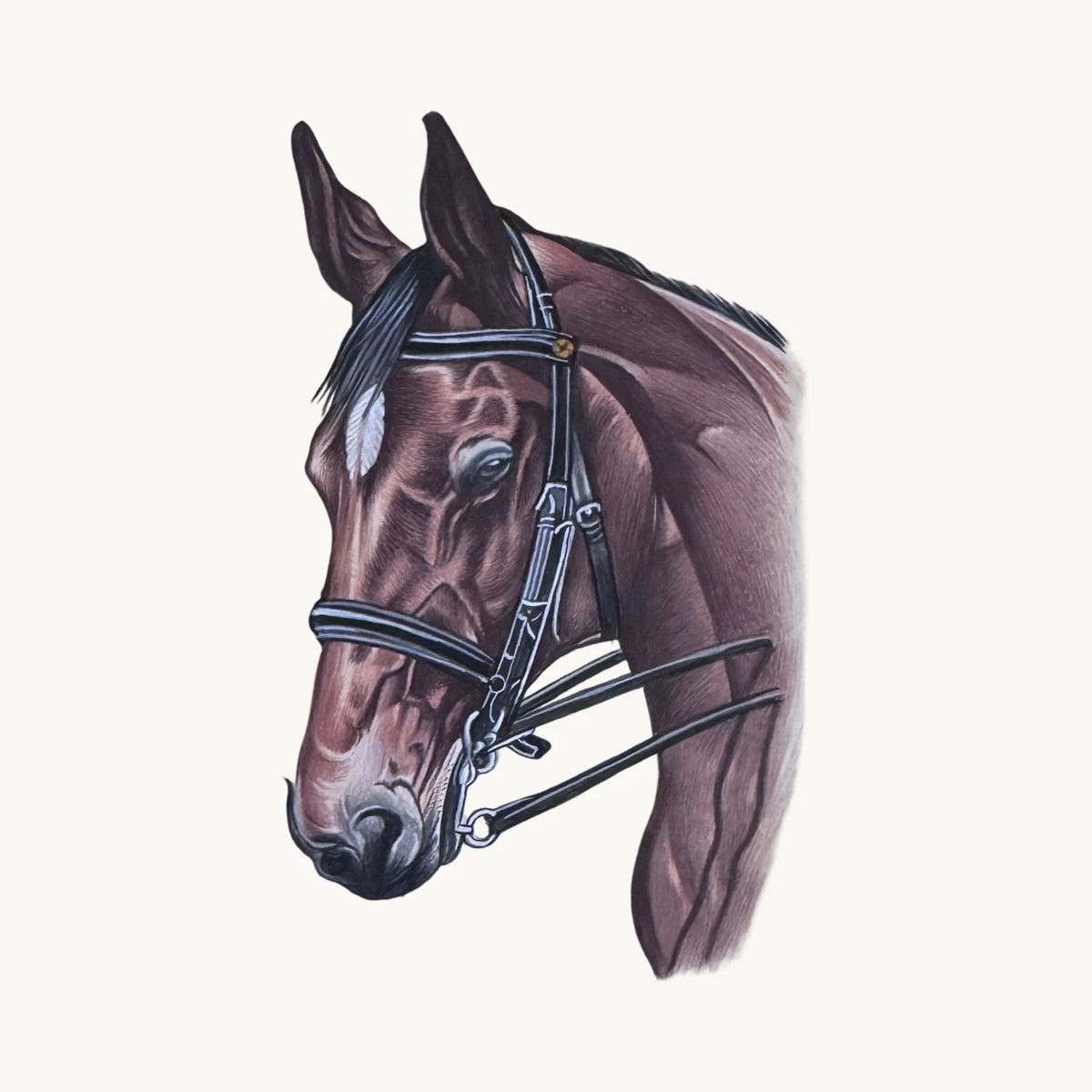 Original miniature painting of a bay horse’s head and neck in a black bridle with a white blaze and gold button, on a plain background