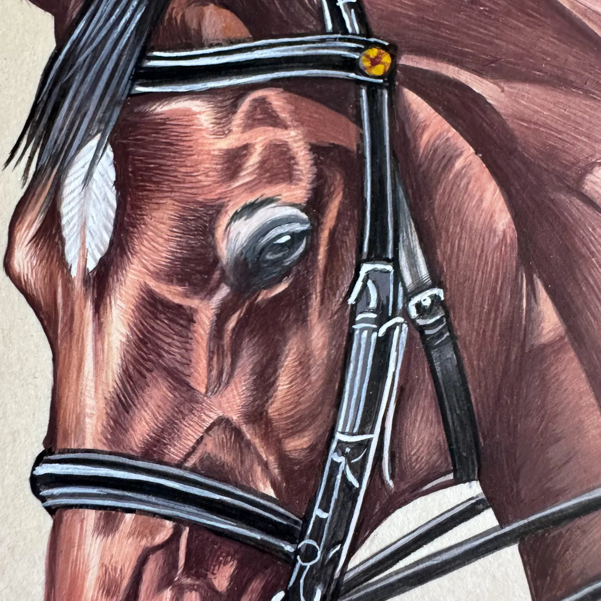Close-up of the horse’s eye, white blaze and black bridle with a gold button, painted in fine brush strokes
