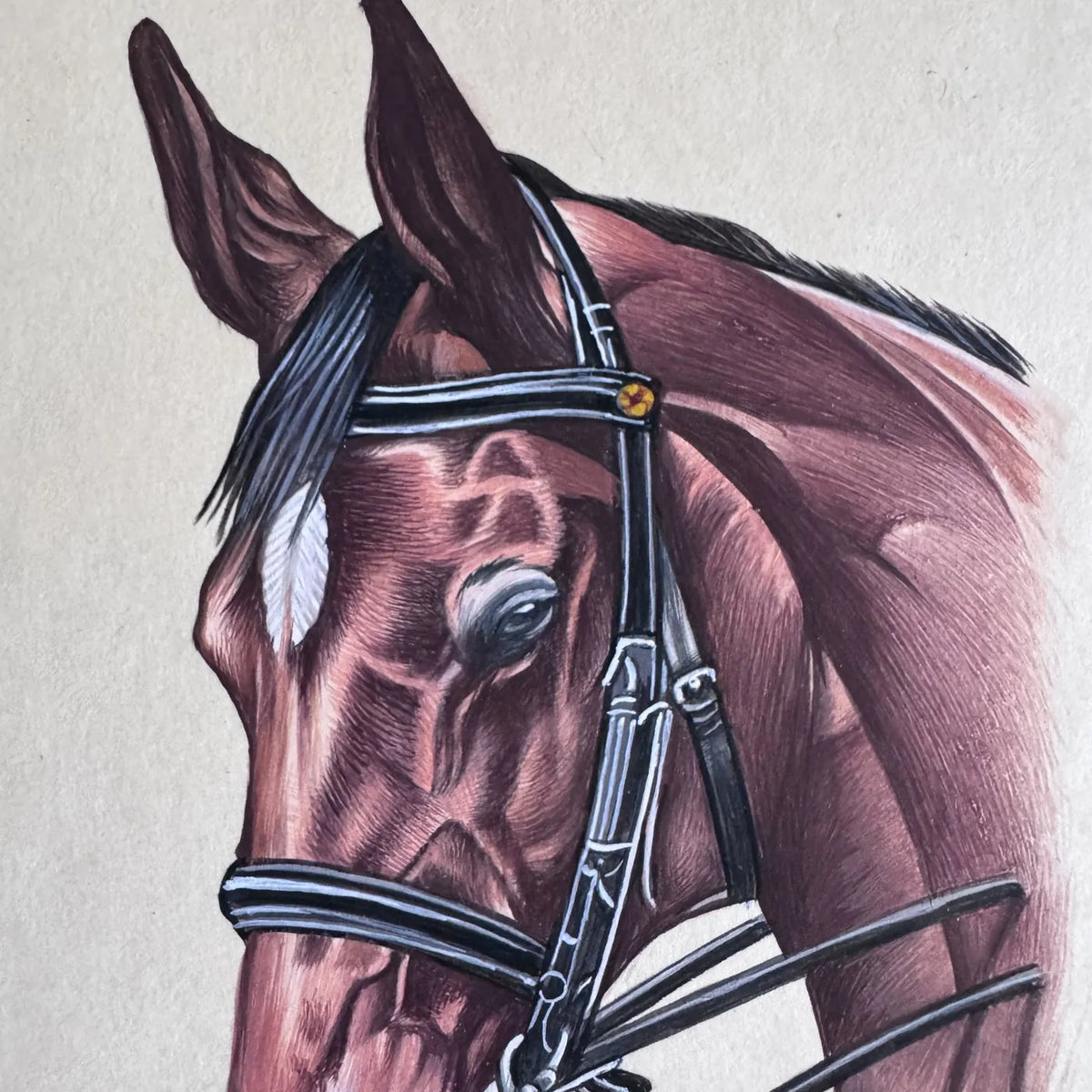 Original miniature painting of a bay horse’s head and neck in a black bridle, on handmade paper