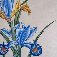 Close-up of blue and golden-yellow irises with fine veined petals, orange-patterned centres and long green leaves, painted on handmade paper