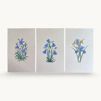 Three original miniature paintings side by side: blue lilies, blue bellflowers and blue and gold irises, each on handmade paper