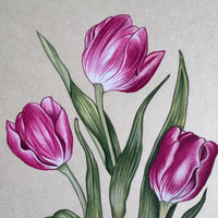 Close-up of three magenta tulips with white edges and green leaves, painted on handmade paper
