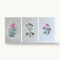 Three original miniature paintings side by side: pink flowers, a crimson cockscomb and magenta tulips, each on handmade paper