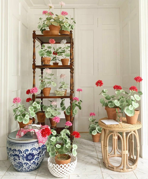 Hand Dipped Paper Geraniums - The Voyage Dubai
