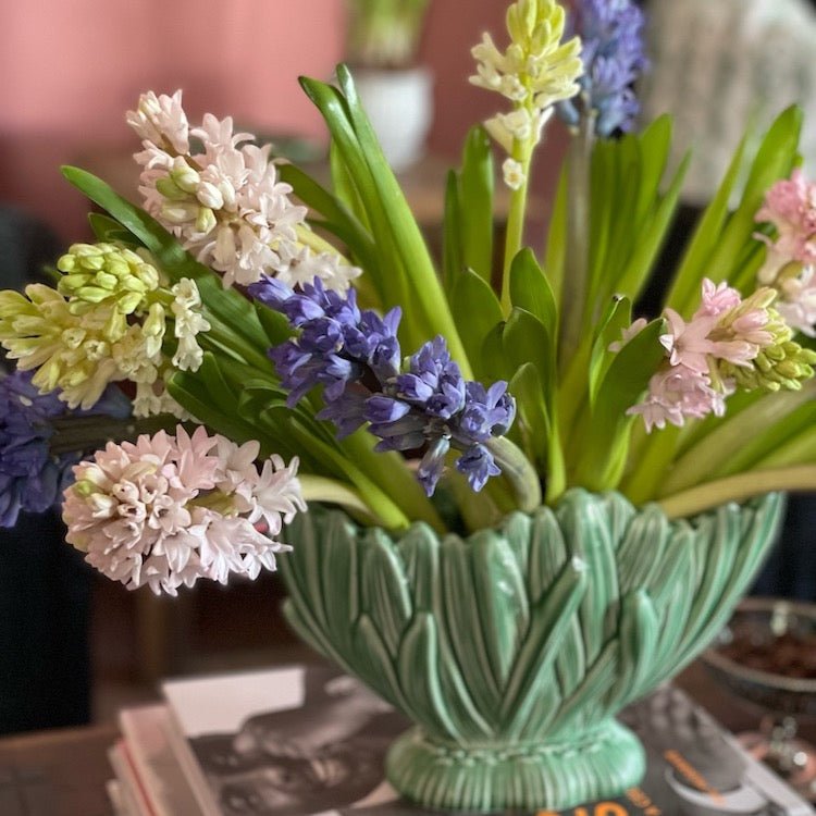 Sylvac Hyacinth Flower Vase in Green - The Voyage Dubai