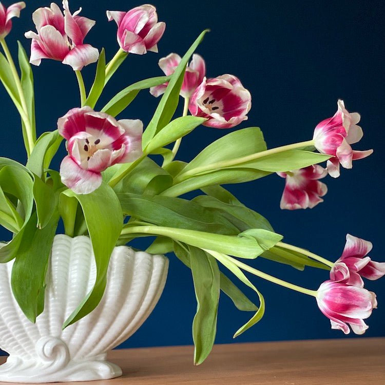 Sylvac Shell Mantle Vase in White - The Voyage Dubai